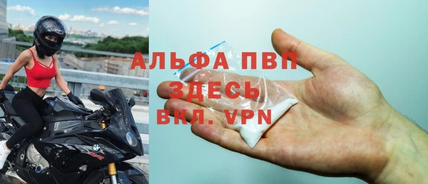 сатива Балахна