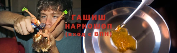сатива Балахна