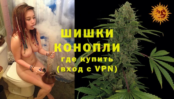 сатива Балахна