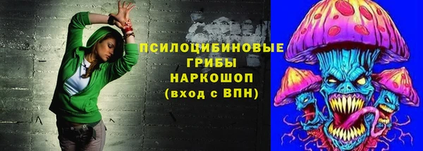 сатива Балахна